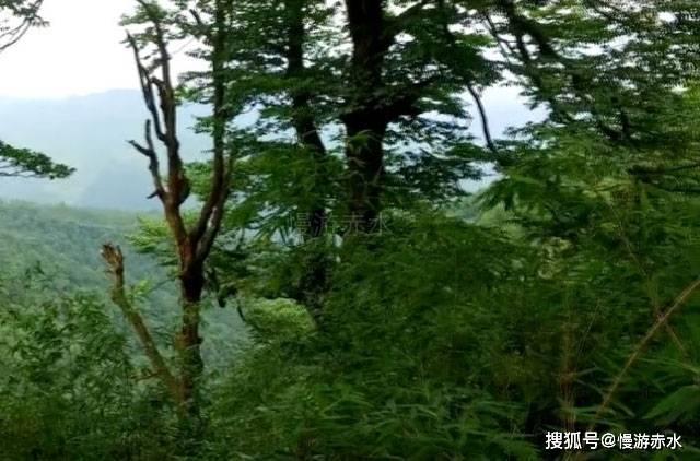 4399魂斗军团